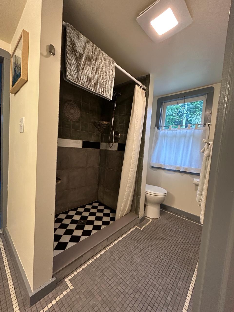 Walk-in shower with checkered floor