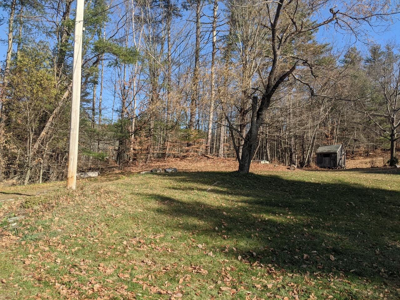 Wooded yard in autumn
