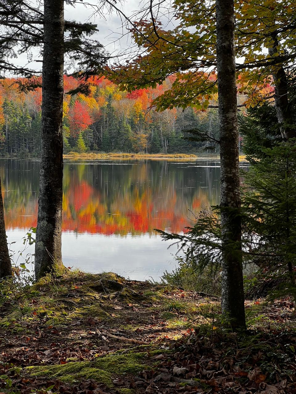 Serene lake in fall foliage