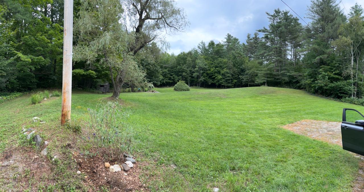 Large open lawn with tree line